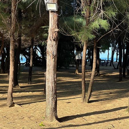 Omeesha Beach Hotel Калпития Экстерьер фото