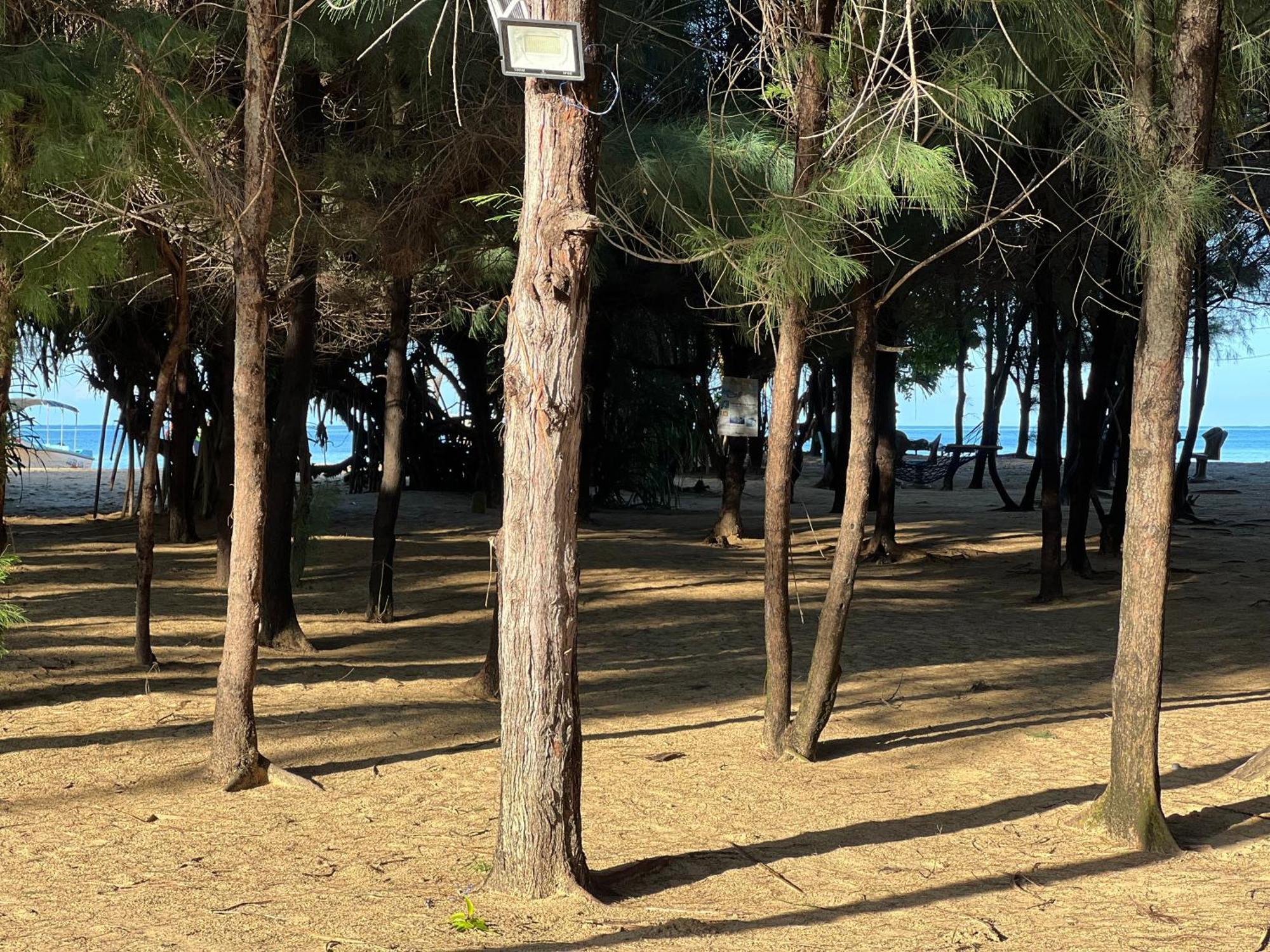 Omeesha Beach Hotel Калпития Экстерьер фото